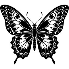 Butterfly vector silhouette, vector of butterfly design, Butterfly icon