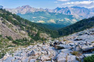landscape in the mountains