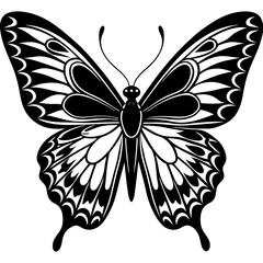 Butterfly vector silhouette, vector of butterfly design, Butterfly icon