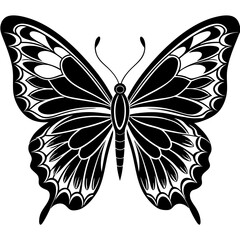 Butterfly vector silhouette, vector of butterfly design, Butterfly icon