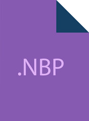 NBP File icon fill crisp corners  v1