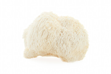 Lion's Mane mushroom on a white background.