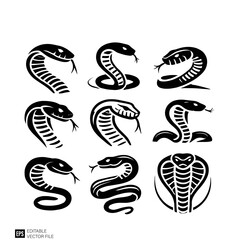 Naklejka premium snake in the form of a snake