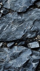 Close-up texture of a dark rock, possibly schist, with distinct layers and peering greenery showing its structured beauty and stability.