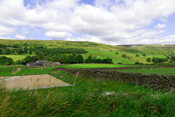 Obraz premium Farmland between Muker and Reeth.