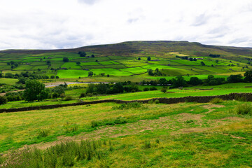 Lush Reeth farmland, on a sunny day.