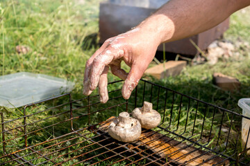 Fototapety na wymiar - Fototapeta24.pl