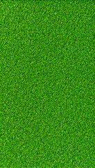texture of grass