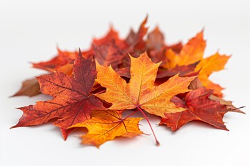 Autumn Leaves Pile on White Background: A Striking Seasonal Composition