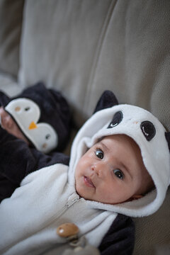 Adorable newborn in animal outfit lying on a sofa