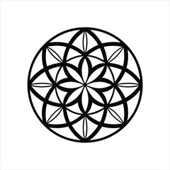 flower of life art vector