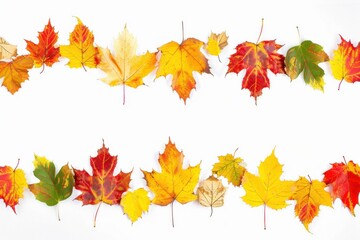 Fototapeta premium A beautiful display of colorful autumn leaves arranged in two rows on a white background.