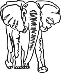 Graphical sketch of elephant walking on white background, vector  lined illustration. 