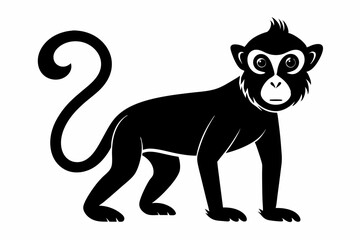 
Monkey silhouette, Monkey icon vector illustration
