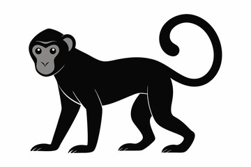 
Monkey silhouette, Monkey icon vector illustration
