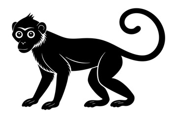 
Monkey silhouette, Monkey icon vector illustration
