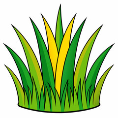 green yellow grass, white background