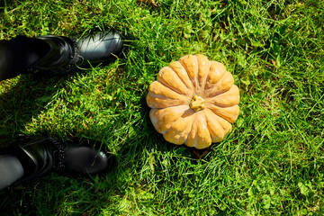 Young Child in Yellow Coat and Orange Tulle Skirt Standing Next to Pumpkin on Green Grass