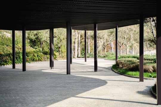 Modern architecture in spring garden, wooden canopy