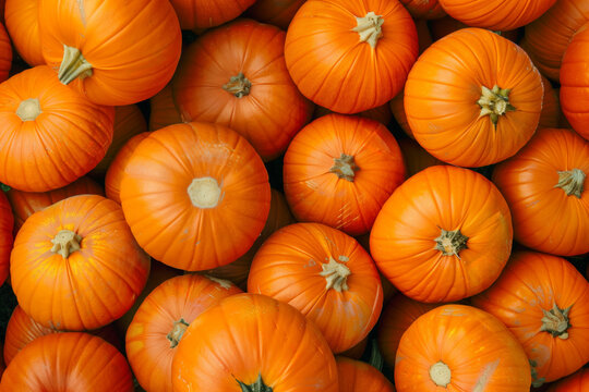 Bright orange pumpkins arranged for Halloween. Generative AI image