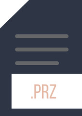 PRZ File extension icon minimal colro fill
