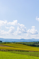 Obraz premium 田園風景