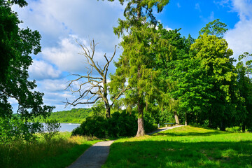 Seenlandschaft im Land Brandenburg