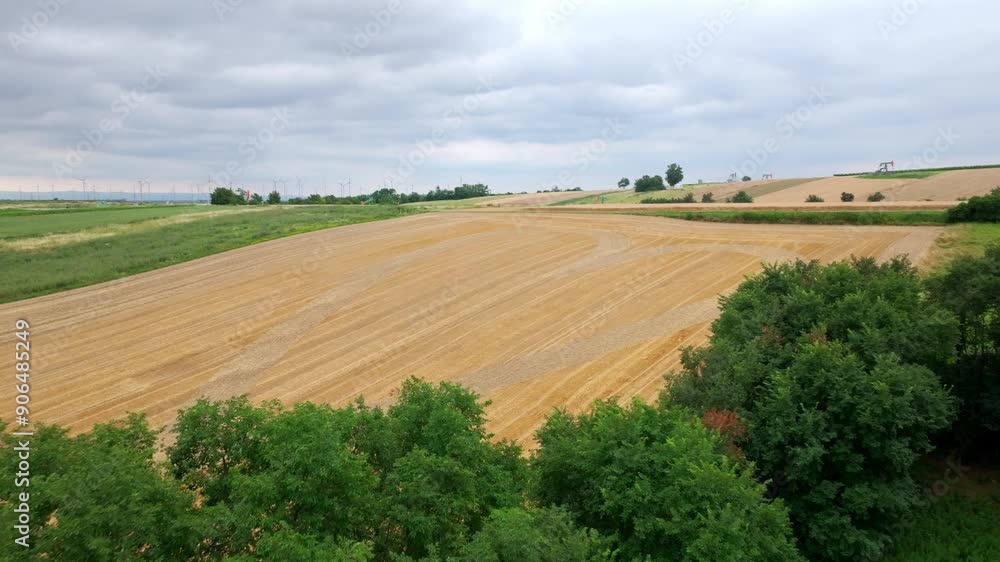 Poster flying towards golden field with heart shape pattern - drone shot