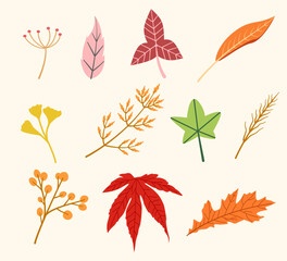 Autumn leaves collection with various colors