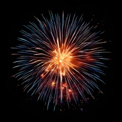 Obraz premium fireworks in the night sky