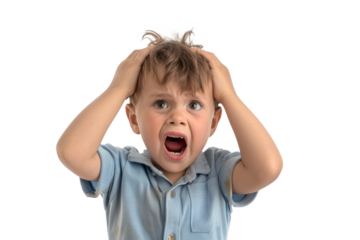An upset little boy with an open-mouthed cry, holding his head with both hands