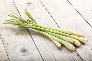Lemongrass - Asian aroma plant for cooking