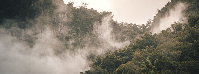 panorama banner background of tropical forest landscape the mountain landscape is veiled in a misty fog, with clouds drifting across the sky, while a solitary tree stands tall.