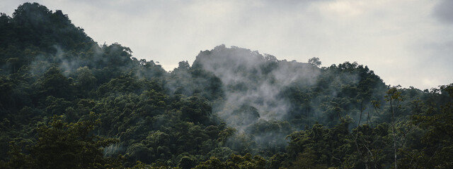 panorama banner background of tropical forest landscape the mountain landscape is veiled in a misty fog, with clouds drifting across the sky, while a solitary tree stands tall.