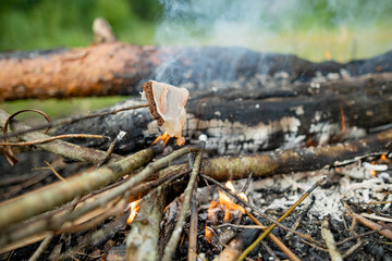 Roasting bread and bacon on stick at bonfire. Having fun at camp fire. Camping in fall forest