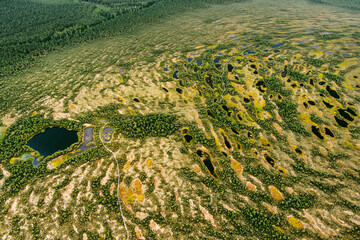 Aerial view of Seli Bog, dotted with pine trees, hollows and pools, located in Jarva county,...
