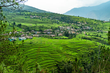 A beautiful village in the higher Himalayas of Chamoli, Garhwal, Uttarakhand, India, featuring green step farming and picturesque scenery.