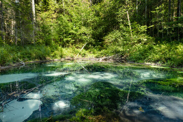 Naklejka premium Saula Blue Springs or Saula Siniallikad. Natural and cultural heritage site. Believed to be sacrificial spring of blue colour with healing power. Saula village, Harju county, Estonia.