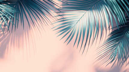 Fototapeta premium Tropical palm leaves with a soft pink background, creating a relaxing and tropical atmosphere perfect for summer and vacation themes.