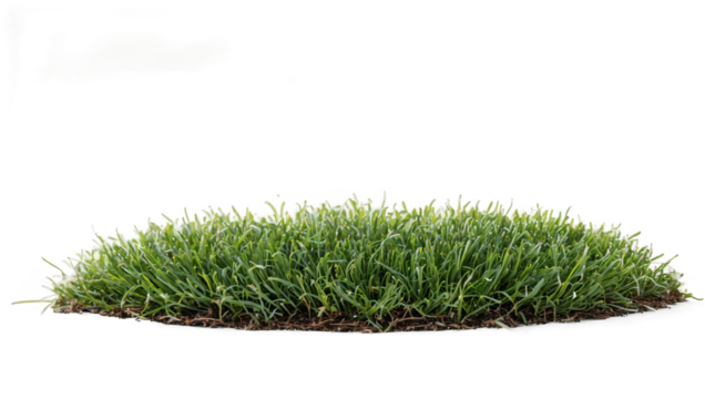 Patch of fresh green lawn grass cut out isolated on white