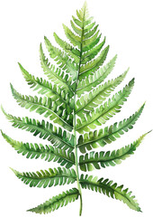 A watercolor painting of a green leafy plant