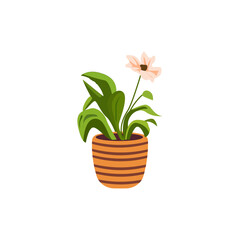 Flower pot minimalist vector illustration ,simple transparent graphic element .Isolated on white background
