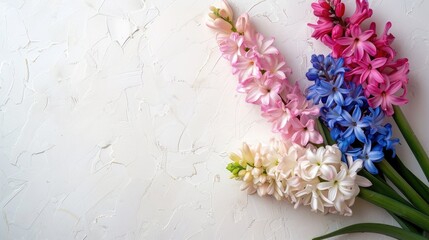 Fresh and colorful hyacinths on a white surface Floral arrangement Overhead view with empty room