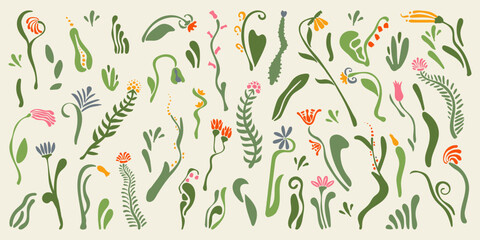 Big set of abstract delicate fancy flowers, botanical natural pattern, herbal background, isolated elements, scandinavian style
