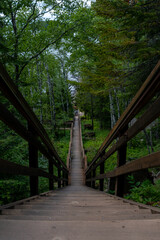 Obraz premium Close-up view of a wooden boardwalk vanishing towards the horizon.
