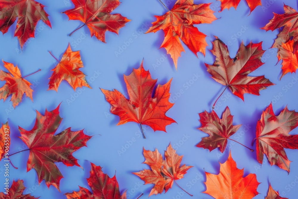 Canvas Prints Autumn Leaves on Blue