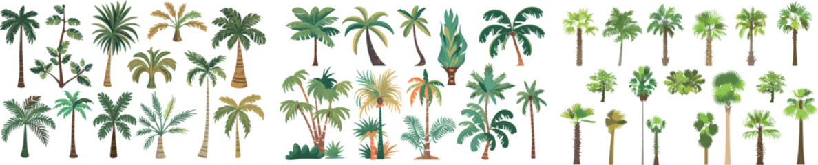 Fototapeta premium Cartoon palm trees. Summer coco palms, jungle coconuts. Spring beach plants.