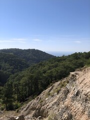 View from the mountain over the horizon to the sea and forest
