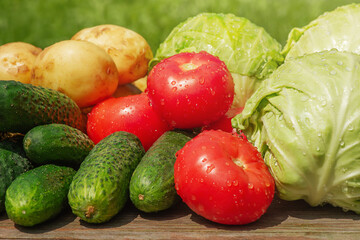 Vegetables on wooden table and with green background. Tomatoes, cucumbers, cabbages and potatoes.