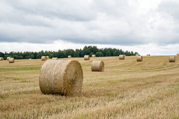 Round bales of dry hay in a green field